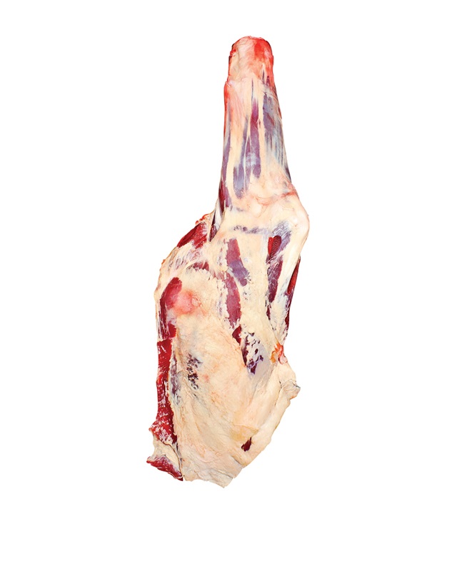 Paleta